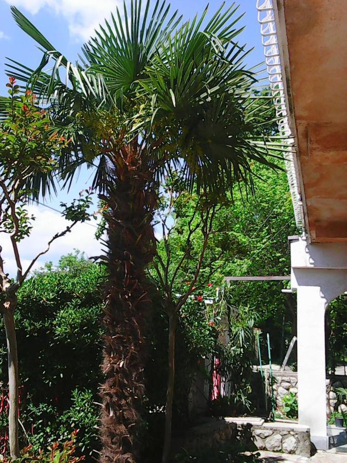 Villa Maja Omišalj الغرفة الصورة